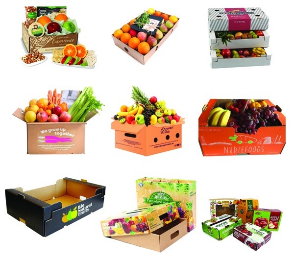 Xu Hướng In Ấn Hộp Trái Cây Xuất Khẩu Trong Thị Trường Hiện Đại